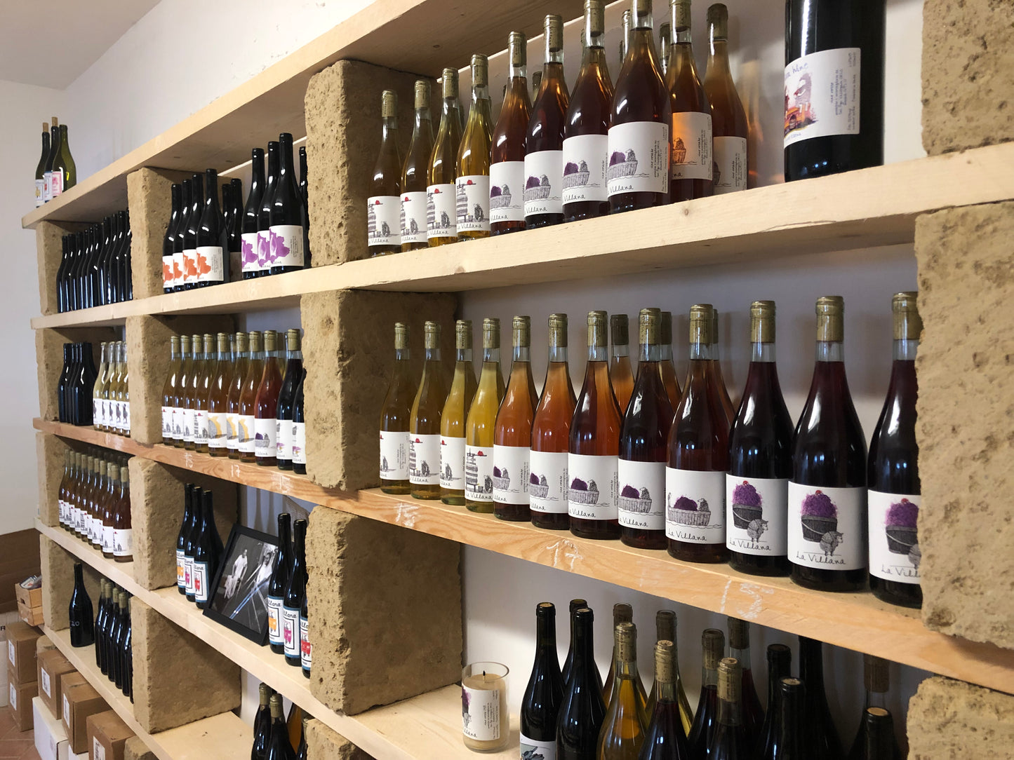 WINE TASTING