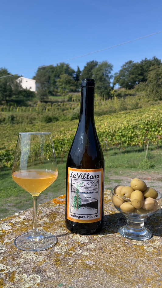 La Villana Bianco Vallegara 2023