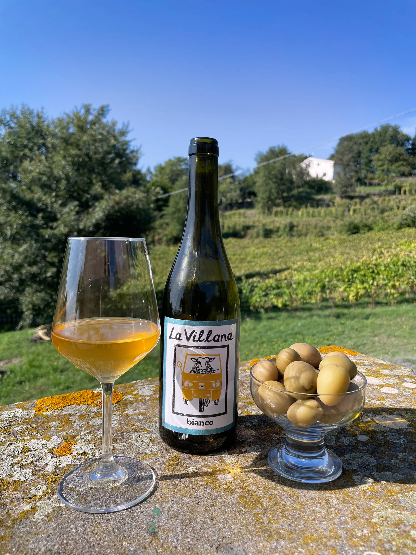 La Villana Bianco 2024